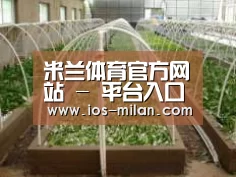 环境展示五