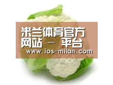 产品名称九