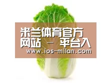 产品名称一