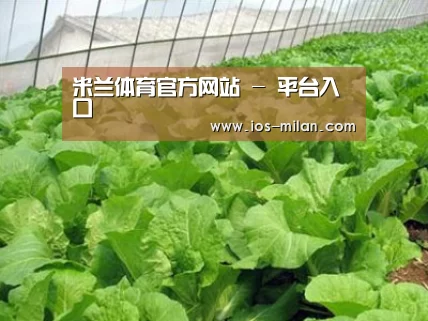 种植基地一