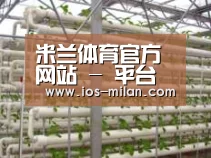 环境展示六