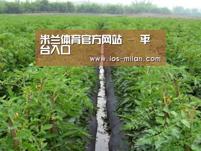 种植基地三