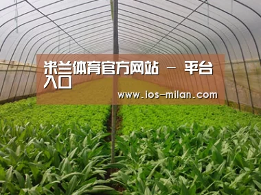 种植基地四